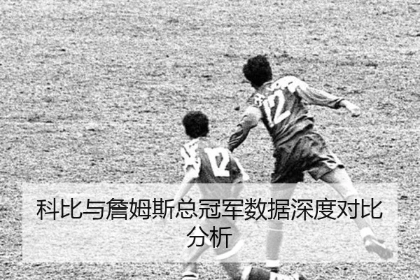 img_1788706296637_54_1_472.jpg
